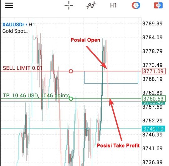 Cara Menghitung Pips XAUUSD