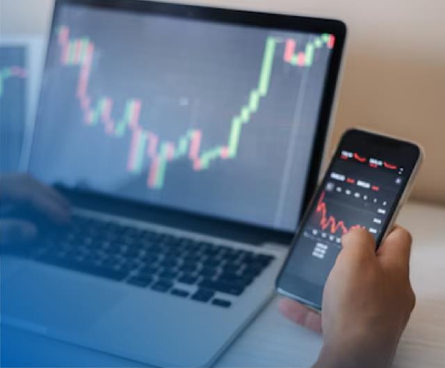 Keuntungan Trading Forex per Bulan